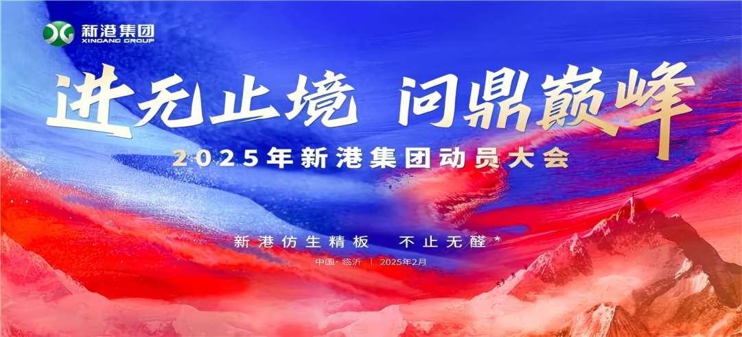 進無止境，問鼎巔峰！2025年新港集團動員大會成功召開！